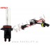 Xenon žarnica HB4 (9006) 6000K 35W
