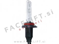 Xenon žarnica H10 (PY20d) 35W