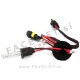 Xenon žarnica H3 (PK22s) 12000K 35W