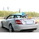 Mercedes SLK R171 04-11 spojler za prtljažnik AMG izgled