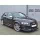 Audi S3 / 8P (03-12) / podaljški pragov Audi S3 / 8P (03-12) / podaljški pragov