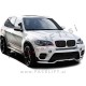 BMW X6 E71 E72 08-14 ledvičke karbon sijaj