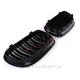 BMW 3 E90 E91 LCI 08-12 ledvičke karbon sijaj BMW 3 E90 E91 LCI 08-12 ledvičke karbon sijaj