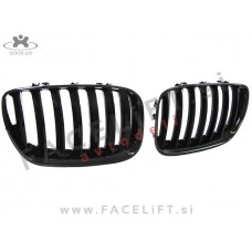 BMW X5 E53 03-06 ledvičke črne sijaj