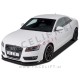 Audi A5 8F 8T 07-11 podaljšek sprednjega odbijača karbon (sijaj) Audi A5 8F 8T 07-11 podaljšek sprednjega odbijača karbon (sijaj)