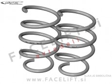 BMW 5 Karavan F11 10-17 / športne vzmeti Lowtec / 40/--mm