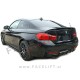 BMW 4 F32 F33 F36 difuzor M-Performance karbon (sijaj)
