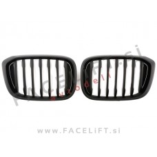 BMW X3 G01 17-21 ledvičke črne (mat)