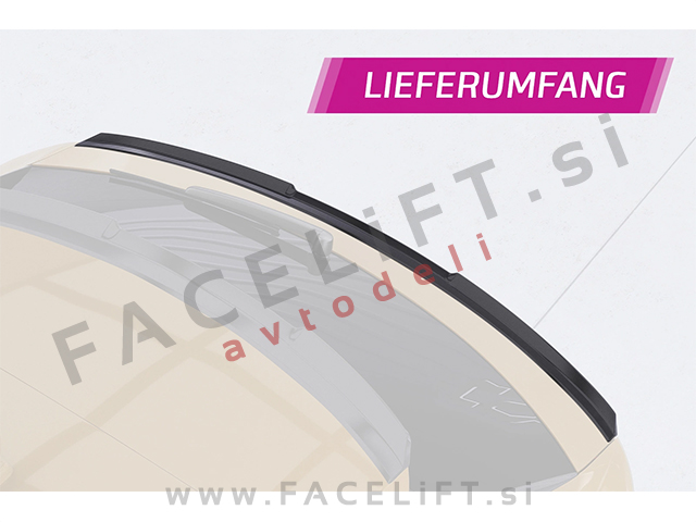 Spojler za prtljažnik karbon mat Audi Q8 SUV 4M 18-