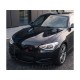Ledvičke črne sijaj BMW 1 F20 F21 11-15