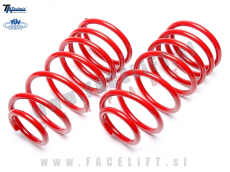 BMW 5 E61 Karavan 03-10 športne vzmeti TA Technix 30/--mm